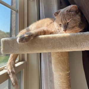 Meet your Posher, Margaret